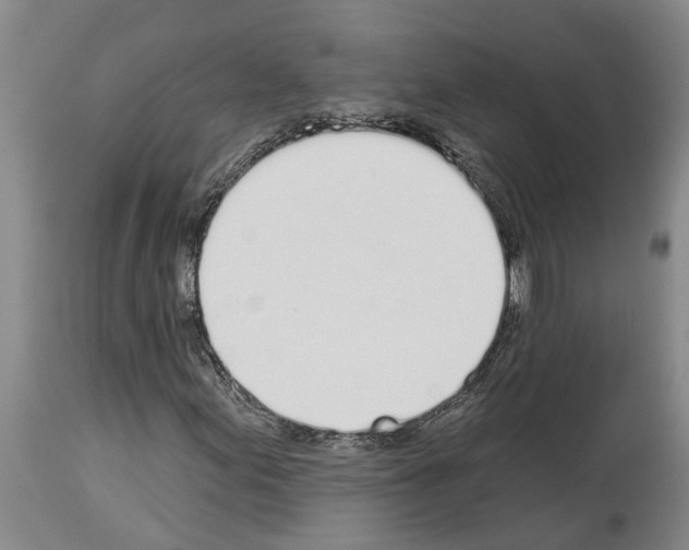 X0000114001155200911131134