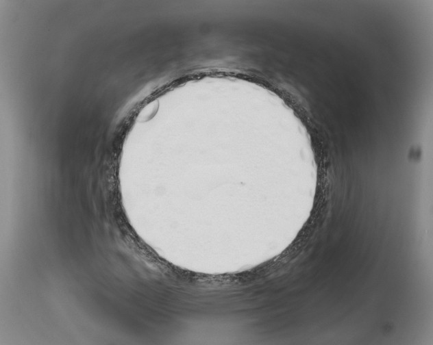 X0000114001159200911131134