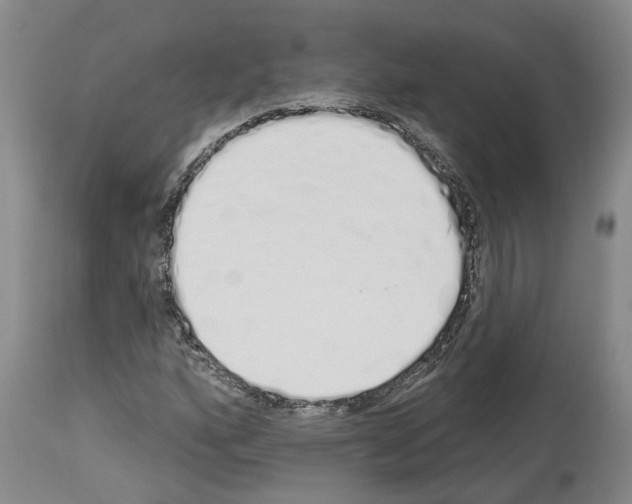 X0000114001160200911131134