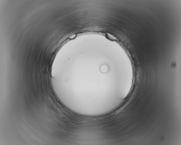 X0000114001161200911131134