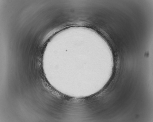 X0000114001163200911131134
