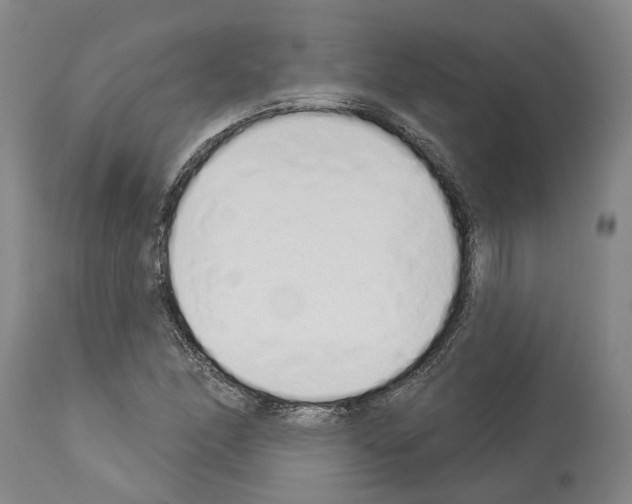 X0000114001166200911131134