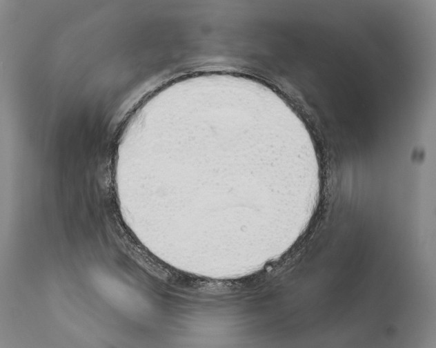 X0000114001167200911131134