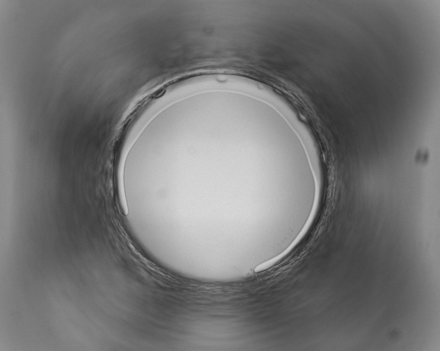 X0000114001168200911131134