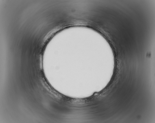 X0000114001171200911131134