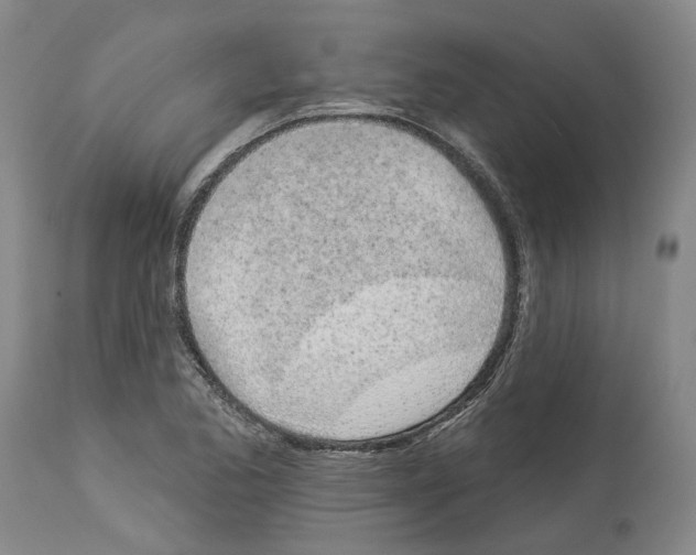 X0000114001173200911131134