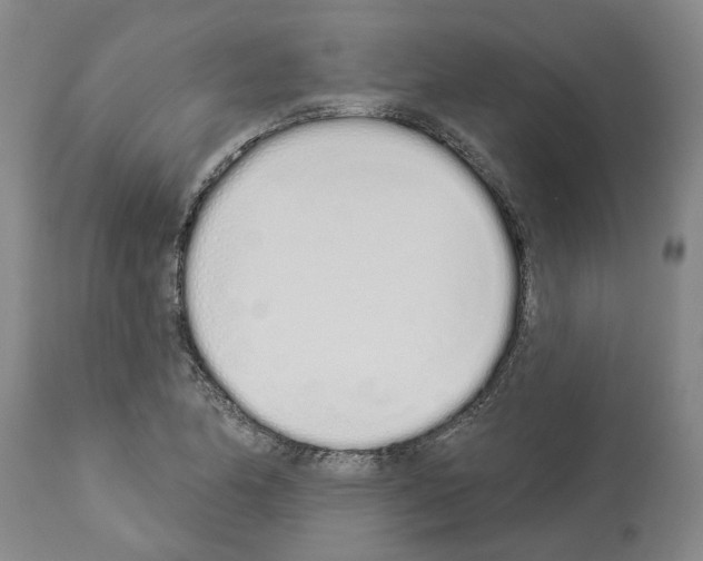 X0000114001174200911131134
