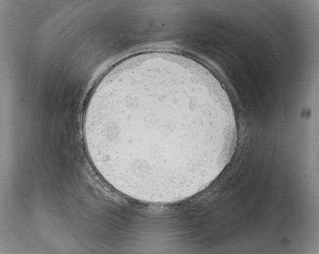 X0000114001176200911131134