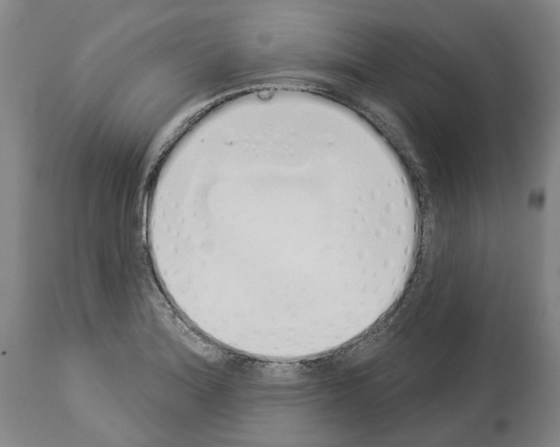 X0000114001180200911131134