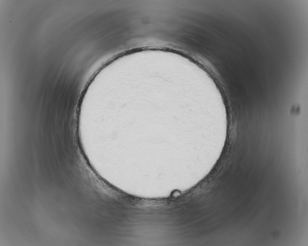 X0000114001183200911131134