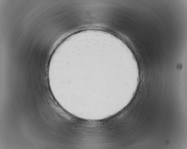 X0000114001184200911131134