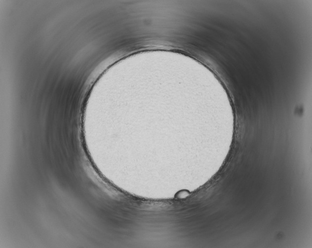 X0000114001187200911131133