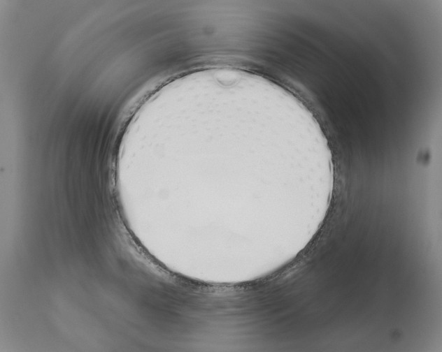 X0000114001188200911131133