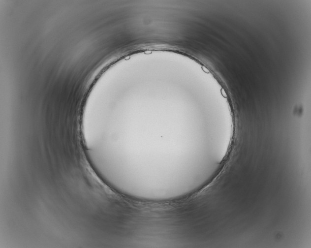 X0000114001189200911131133