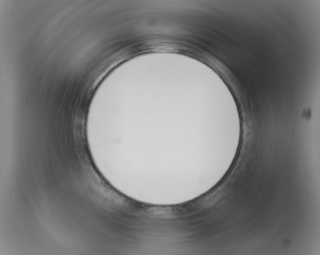 X0000114001194200911131133