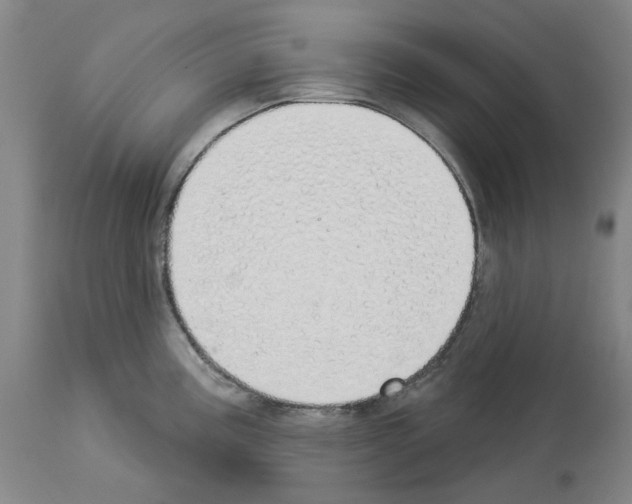 X0000114001195200911131133
