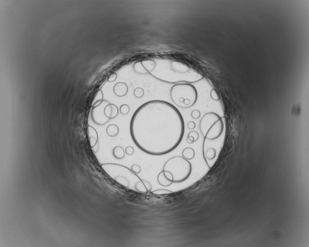 X0000114001205200911131133