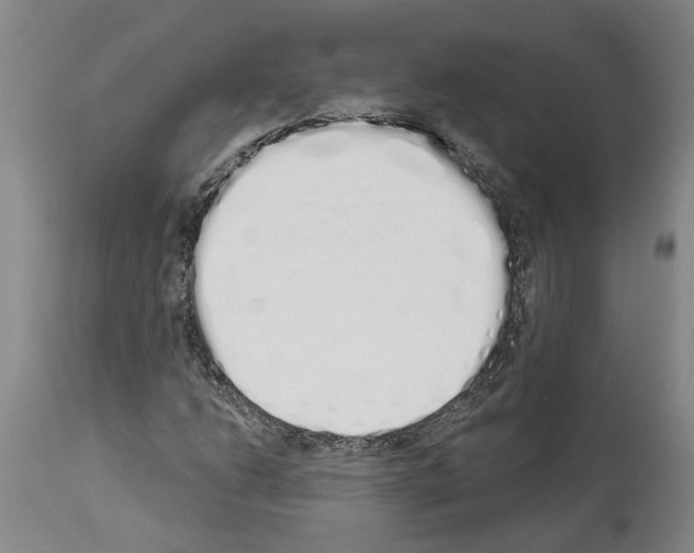 X0000114001206200911131133