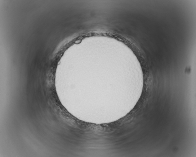 X0000114001207200911131133