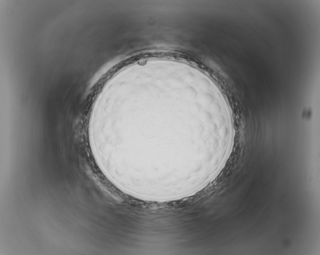 X0000114001208200911131133
