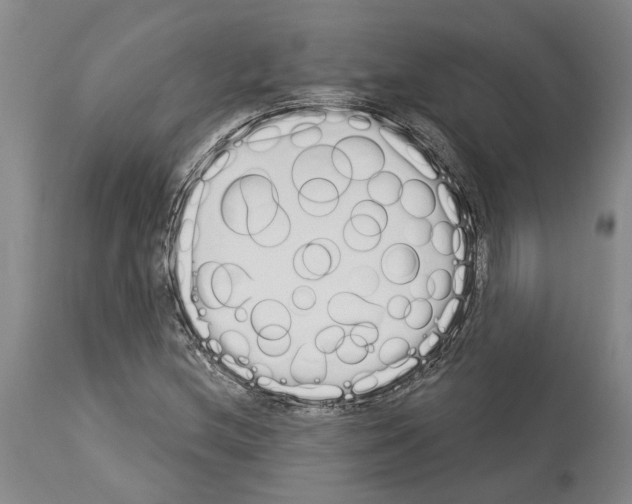 X0000114001212200911131133