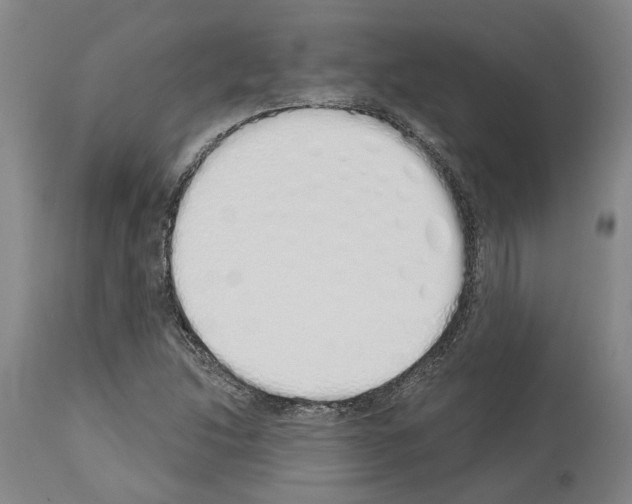 X0000114001214200911131133