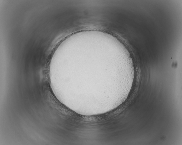 X0000114001215200911131133