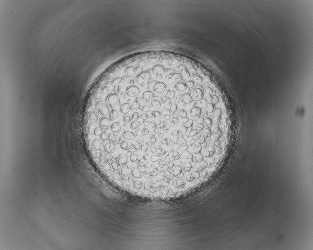 X0000114001216200911131133