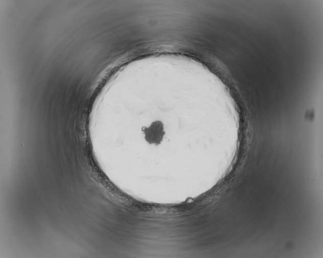 X0000114001218200911131133