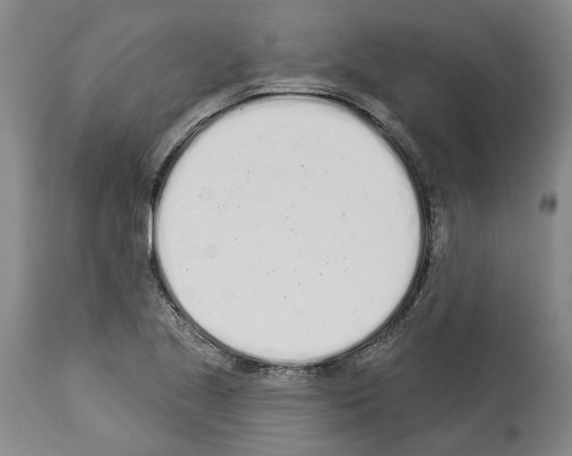 X0000114001221200911131133