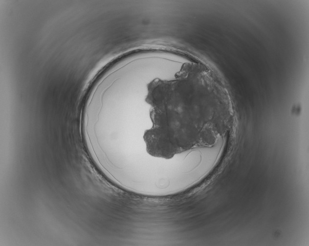 X0000114001224200911131133