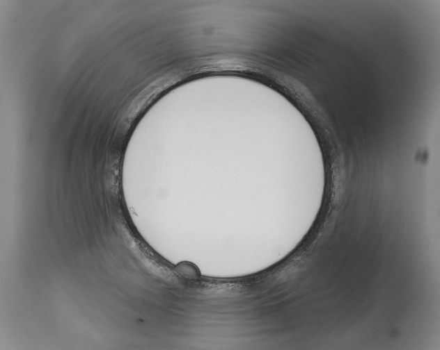 X0000114001225200911131133