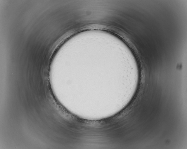 X0000114001229200911131133