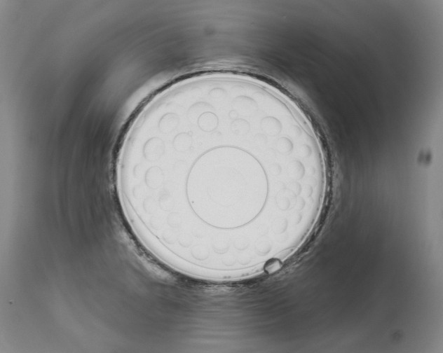 X0000114001230200911131133