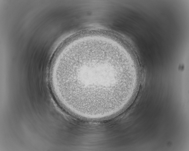 X0000114001231200911131133
