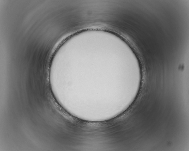 X0000114001232200911131133
