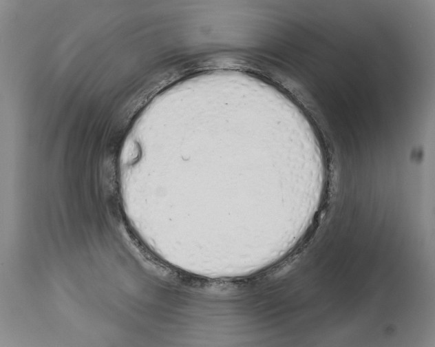X0000114001233200911131133