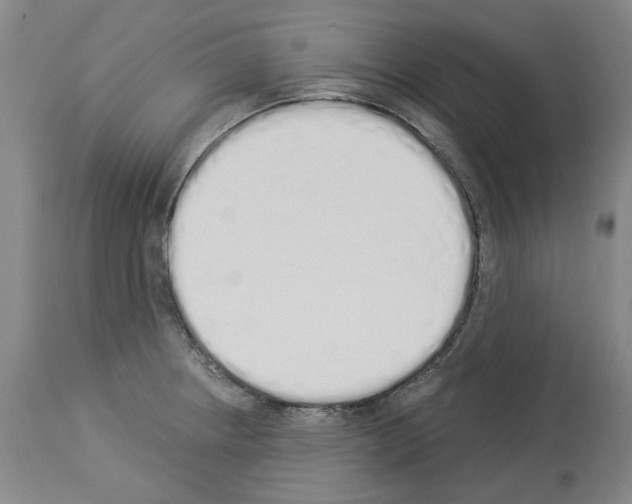 X0000114001234200911131133