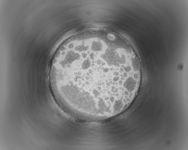 X0000114001235200911131133