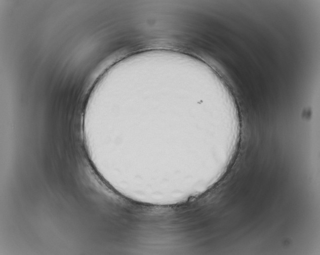 X0000114001238200911131133