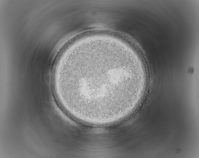 X0000114001239200911131133