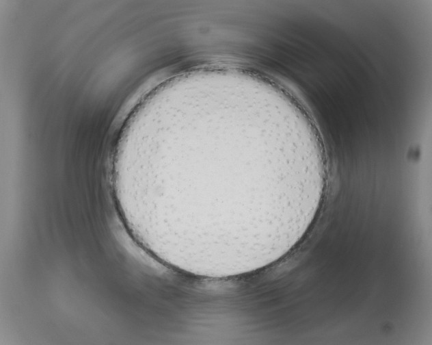 X0000114001243200911131133