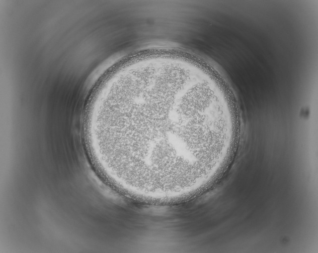 X0000114001245200911131133