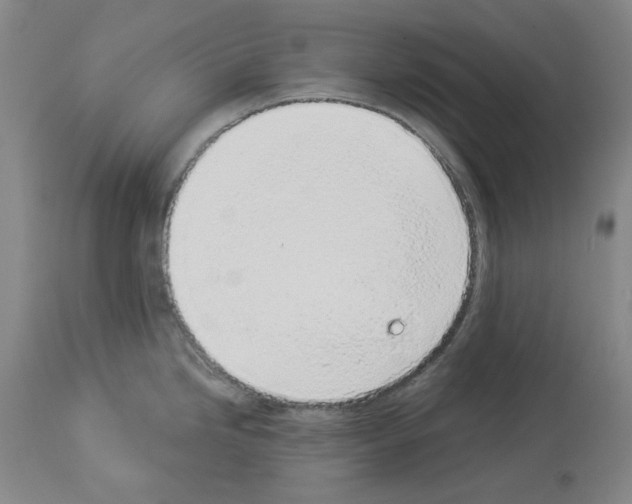 X0000114001246200911131133