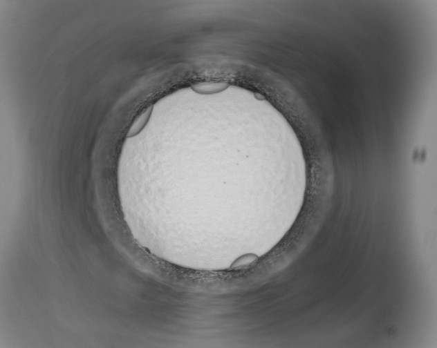 X0000114001249200911131132