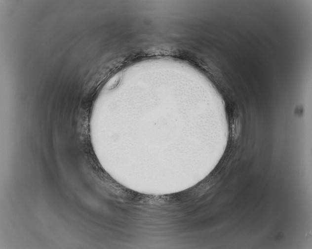 X0000114001251200911131132
