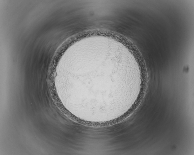 X0000114001257200911131132