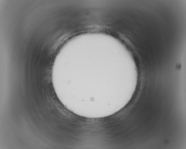 X0000114001259200911131132