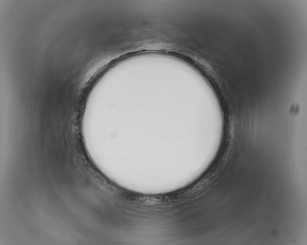 X0000114001263200911131132