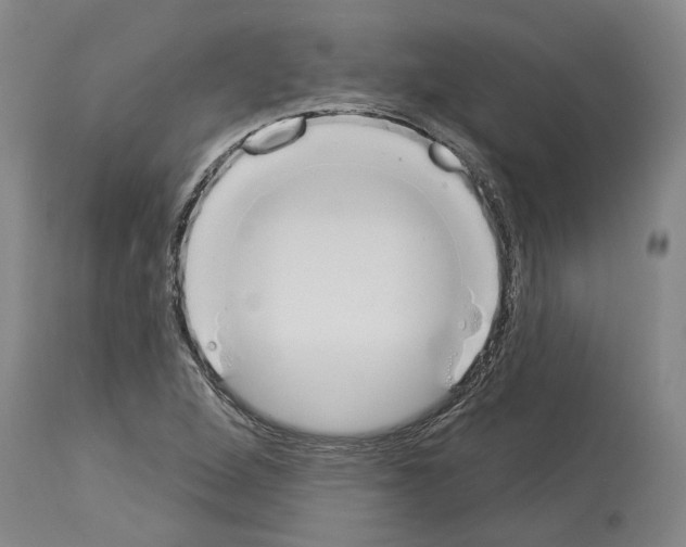 X0000114001264200911131132